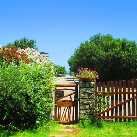 Phocea Bed & Breakfast San Teodoro  Bagian luar foto