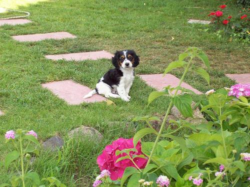 Phocea Bed & Breakfast San Teodoro  Bagian luar foto